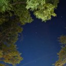 우정동산캠핑농원 | 부곡 캠핑장 찐후기 — 부곡허브농원캠핑장 1박 경험담