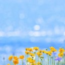 원삼복부인 공인중개사사무소 | 봄은 부동산 임장의 계절?