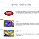 부일푸드 이미지