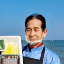 미소과메기 이미지