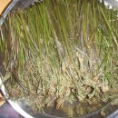 날마다소풍 이미지