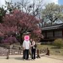 건축사사무소필 | 2026.4월 🌷