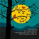 로파