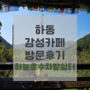 가볼만한곳-한국의 치앙마이 숨겨진 숲속 뷰맛집 감성카페 [하늘호수차밭쉼터] 방문후기 (+주차, 메뉴)