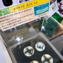 레몬트리안경콘택트 이미지