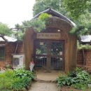 자연을닮은사람들 이미지