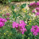 연인산스토리 이미지