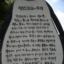 광주 광역시 양림 펭귄마을 이미지