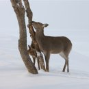 바닷가언덕 이미지