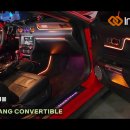 인코브(INCOBB KOREA) 포드 머스탱 컨버터블(FORD MUSTANG CONVERTIBLE) 인코브 엠비언트 라이트 이미지