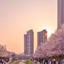 용암3길 이미지