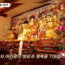 황금복돼지 이미지