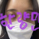 -햄프씨드 성분으로 수분 충전 하자 파우더룸 뷰티 어워드 TOP 4! 미스트 추천 76N1 비 해피 미스트-