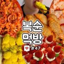부산조방낙지 이미지