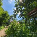 파산정(巴山亭) | 배롱나무가 있는 고즈넉한 풍경,삼가헌 고택