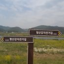 형산강자전거길 이미지