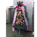 장모사랑 이미지