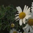 용담농장 이미지