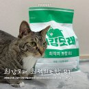 벤토나이트 고양이모래 정착 후기 | 최강모래 무향 다양한입자