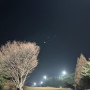 라비돌(주)