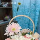 네일바이하눌