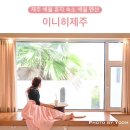 제주도 애월 펜션 제주 애월 혼자 숙소