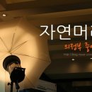 자연머리 이미지