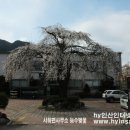 송계노모당 이미지