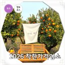 동부종합상가 | 바가지 요금 이제 끝! 제주도 여행지 추천 제주 착한가격업소 가볼만한곳