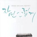 아름다운 손글씨 한글 캘리그라피 TV리포트