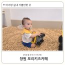 창원 성산구 가음동 키즈카페 10개월 돌 전 아기랑 모리키즈카페
