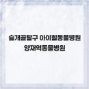 오늘동물병원