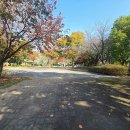 어연진료소 이미지