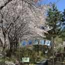용화산성 | 경기 광주 가볼만한곳 | 문형산 등산 용화선원 등산로 1.5시간 코스 광주 벚꽃 명소 추천