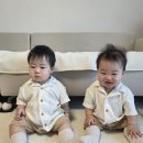 9개월 아기 여름옷 모이몰른에서 감성과 편안함 모두 잡은 후기