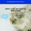 포레스트동물병원 이미지