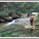 곡성-124 이미지