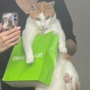 주당치킨 호프 이미지