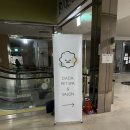 다다펫스파 이미지