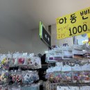 로사유치원 | 서울 반포 고속터미널 지하상가 티니핑 악세사리 헤어핀 파는 곳 내돈내산 후기