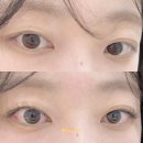 인천대입구역 2번출구 | 송도 속눈썹연장 끌레오다 LED속눈썹 연장 후기