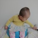 아리아여행사
