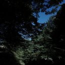 푸른숲펜션 이미지