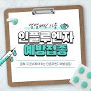 우미사 이미지