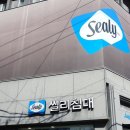 씰리좌천점 | 부산씰리 침대 삼성전자온누리환급사용가능매장 좌천점 방문 후기