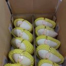 박리다매 이미지