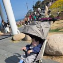 보애네 | 아이와 여행준비 타보앤누비 트래블러M 그린 실사용 후기 내돈내산