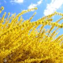 고우넷치과교정과치과의원 이미지