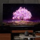 LG C1 OLED TV (OLED65C1) 리뷰 이미지