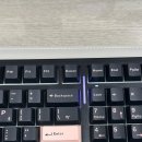 올리비아 | AULA 독거미 F99 키보드 간단 후기, 장단점 (다크올리비아 / KTT 저소음 바다축)